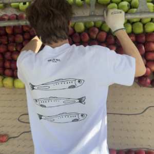 Dom tre sillarna t-shirt (äpple)