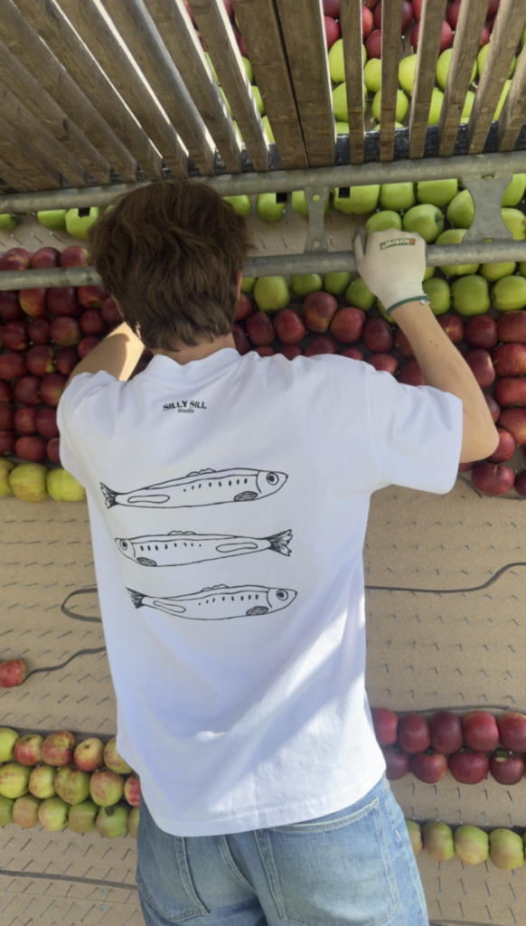Dom tre sillarna t-shirt (äpple)